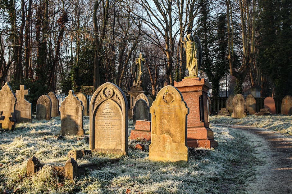 The image shows a historic cemetery with a symmetrical layout, featuring a central stone archway leading down to a burial area with rows of headstones and grave markers. Behind the arches, there is a 